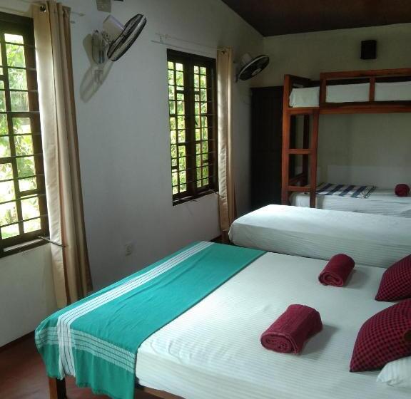 Семейный Номер Deluxe, Feel The Waves