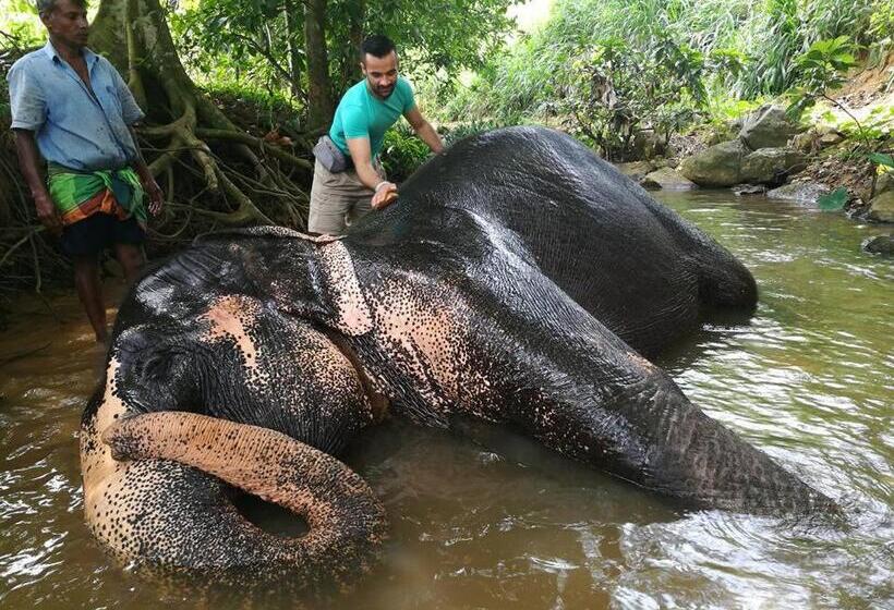 이코노미 룸, Elephant Reach Villa Pinnawala
