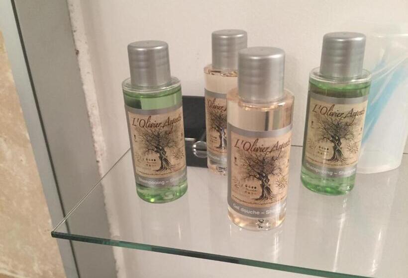 اتاق استاندارد با چشمانداز باغ, Face Au Palais