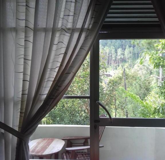 Pokój Rodzinny, Sun Breeze