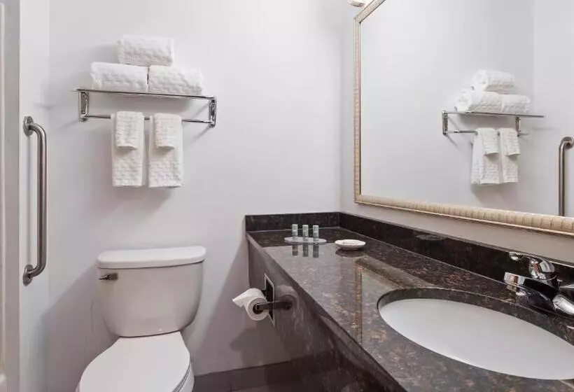 Standard-huone, Chicago Southland
