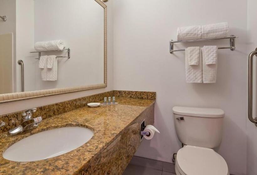 ルームシェアのワンベッド, Chicago Southland