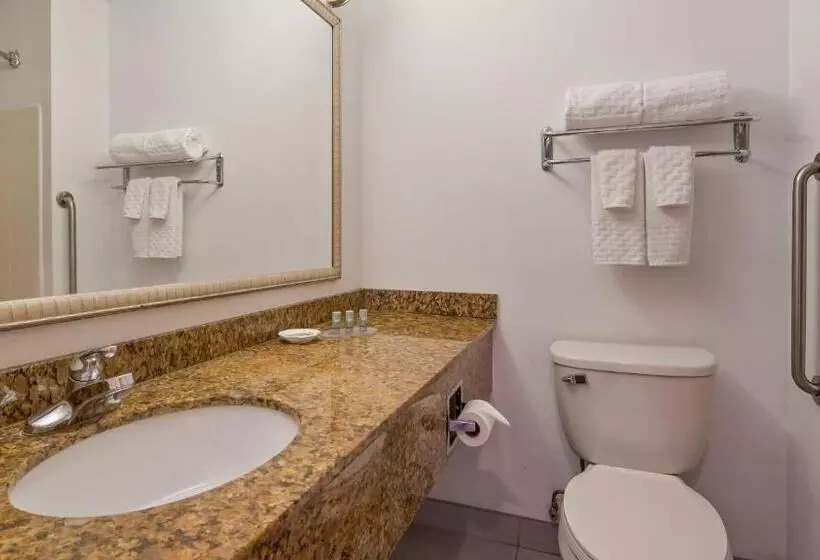 Standard-huone Queen-vuode, Chicago Southland