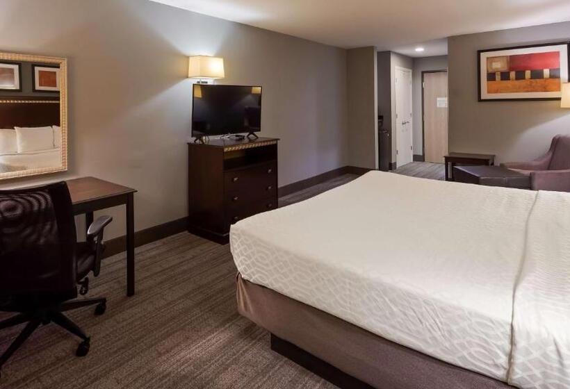 クイーンサイズベッドのスタンダードルーム, Chicago Southland