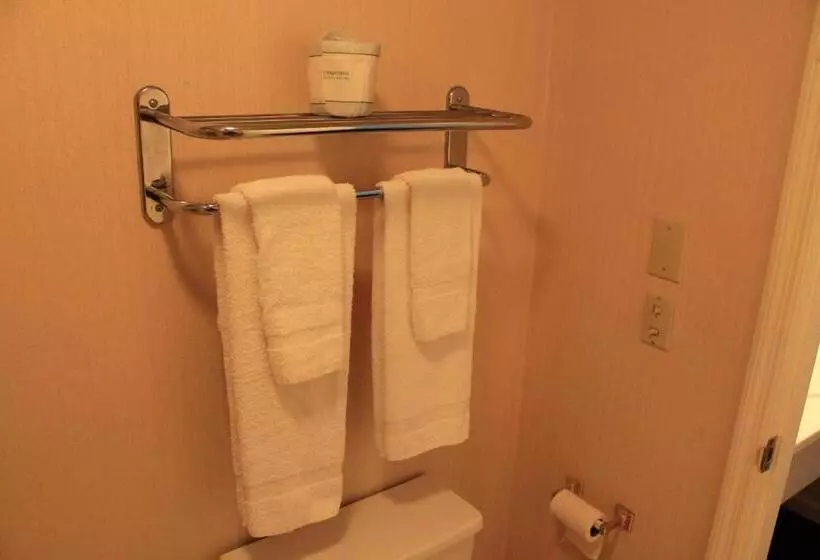 キングサイズベッドのスイートルーム, Budgetel Inn & Suites Dillard