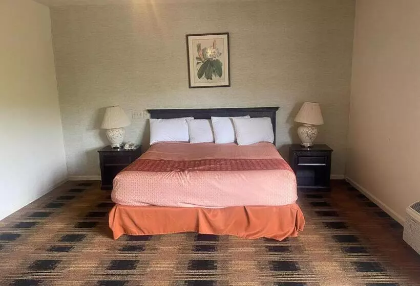 キングサイズベッドのデラックススイート, Budgetel Inn & Suites Dillard