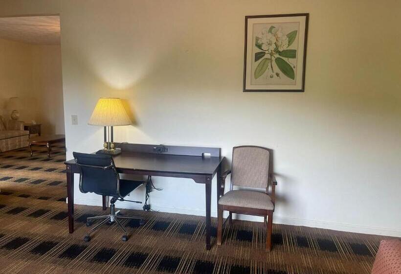 جناح ديلوكس سرير كينج, Budgetel Inn & Suites Dillard