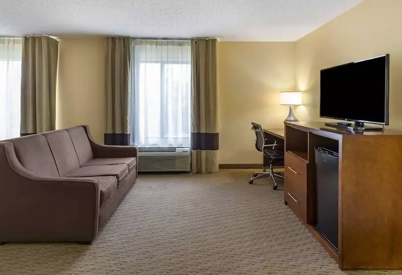 スイート, Comfort Inn Garner Clayton I40