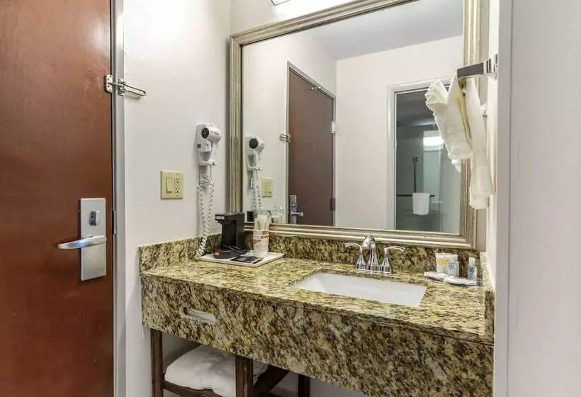 スタンダードルーム, Comfort Inn Garner Clayton I40