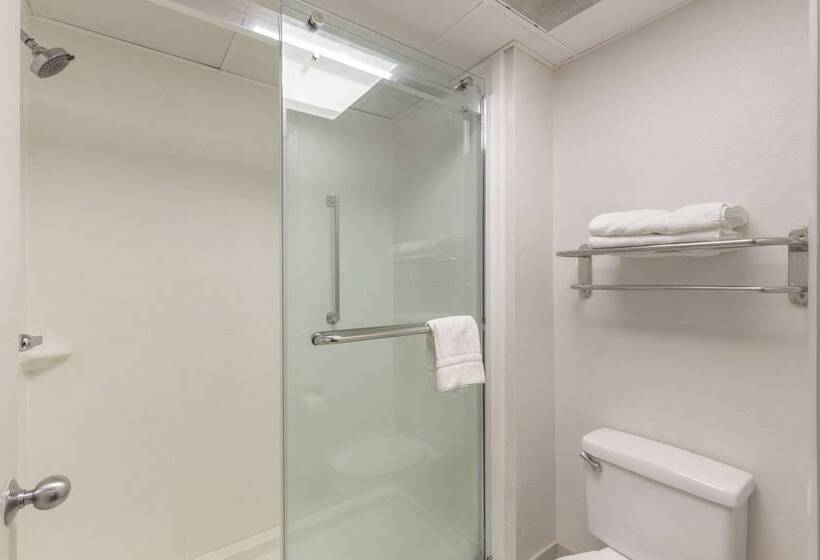 غرفة قياسية, Comfort Inn Garner Clayton I40