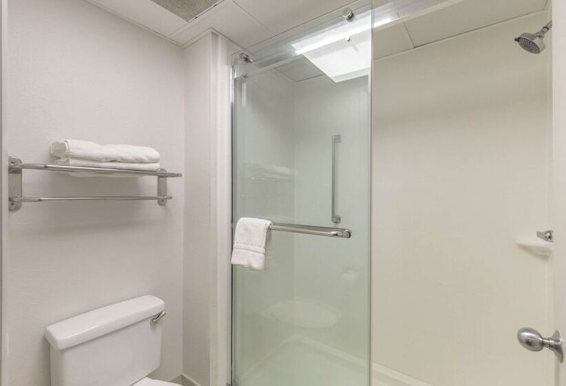 غرفة قياسية, Comfort Inn Garner Clayton I40