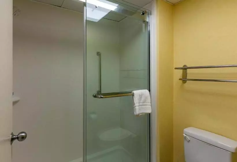 キングサイズベッドのスタンダードルーム, Comfort Inn Garner Clayton I40