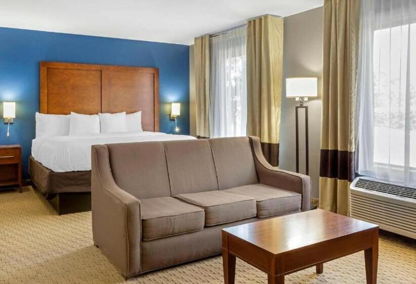 Люкс, Comfort Inn Garner Clayton I40