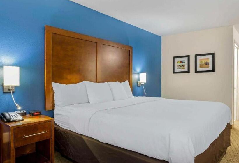 Номер Стандарт Кровать Кинг Адаптированный для Инвалидов, Comfort Inn Garner Clayton I40