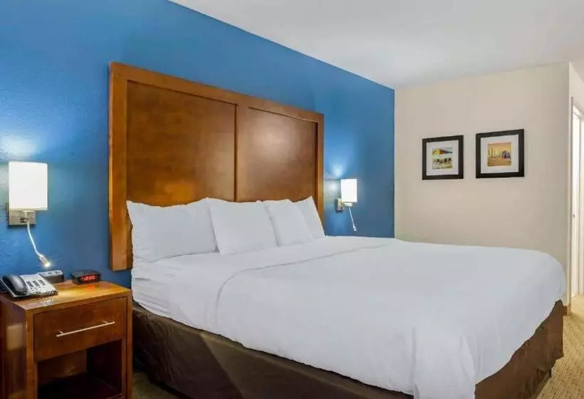 身障者適用キングサイズベッドルーム, Comfort Inn Garner Clayton I40