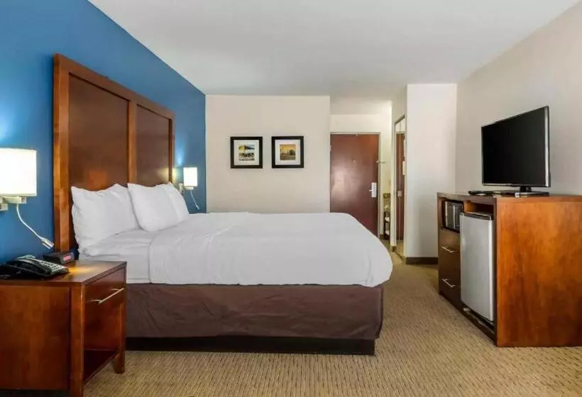 身障者適用キングサイズベッドルーム, Comfort Inn Garner Clayton I40