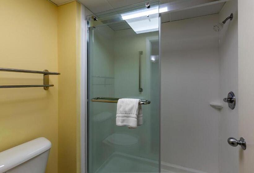 Номер Стандарт Кровать Кинг Адаптированный для Инвалидов, Comfort Inn Garner Clayton I40