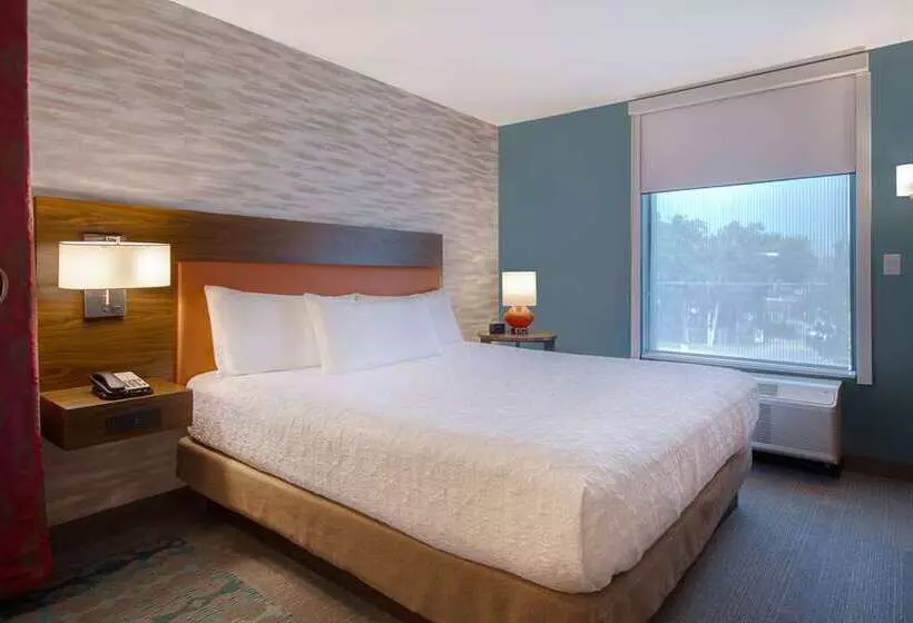 اتاق استاندارد با چشم‌انداز, Doubletree By Hilton Corpus Christi Beachfront