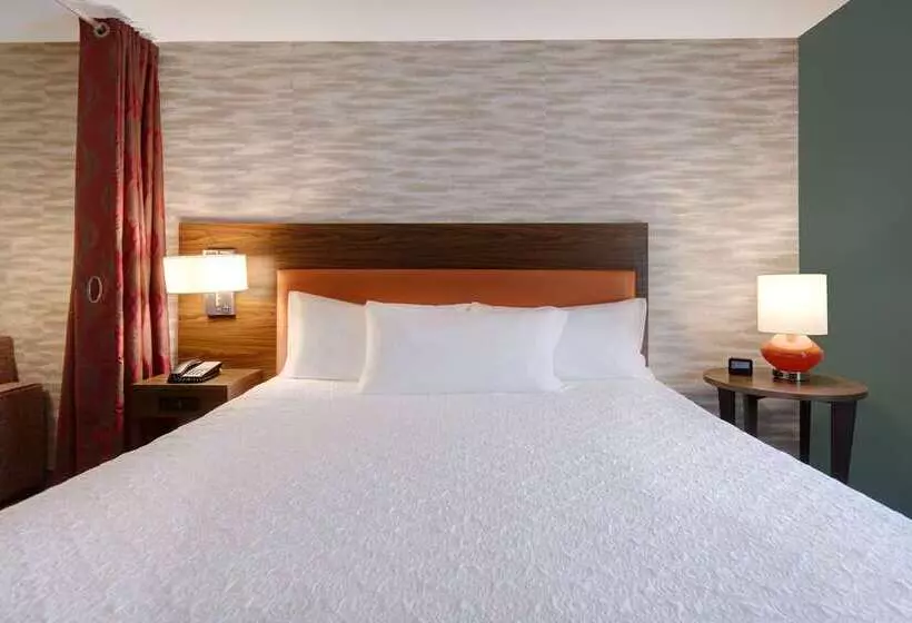 اتاق استاندارد با چشم‌انداز, Doubletree By Hilton Corpus Christi Beachfront