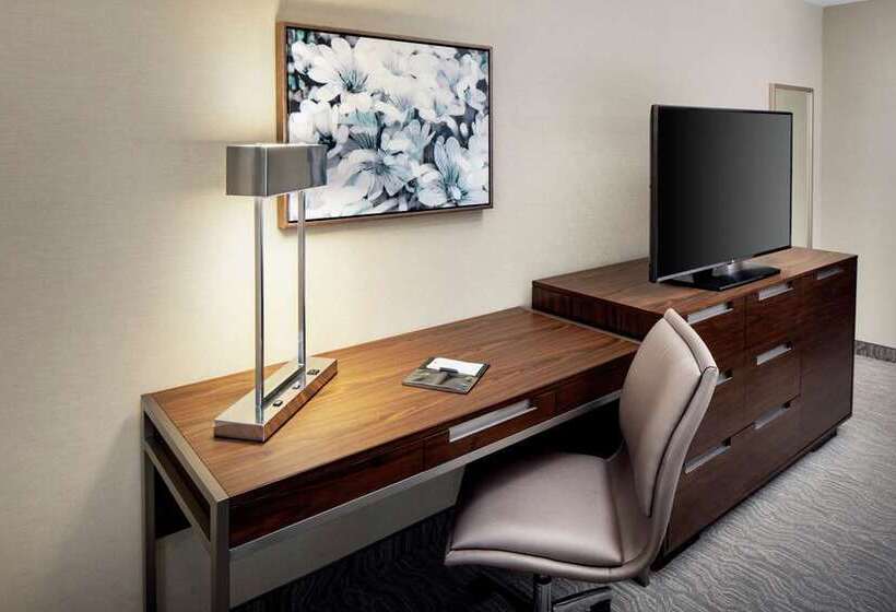 스탠다드 룸 킹사이즈 침대, Doubletree By Hilton Corpus Christi Beachfront