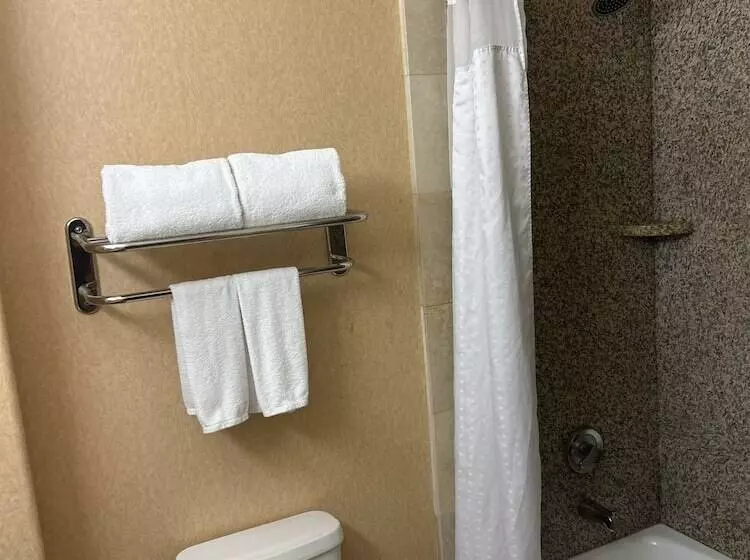 スタンダードルーム, Holiday Inn Express Las Vegas Nellis, An Ihg
