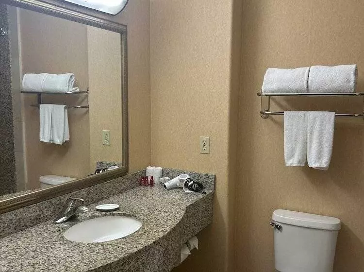 スタンダードルーム, Holiday Inn Express Las Vegas Nellis, An Ihg