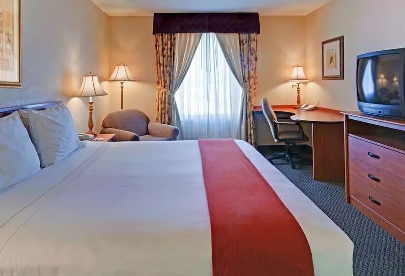 スタンダードルーム, Holiday Inn Express Las Vegas Nellis, An Ihg