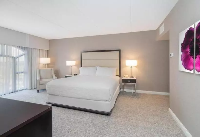 エクゼクティブスイート, Holiday Inn Wilmington, An Ihg