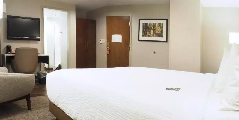 اتاق استاندارد با تخت بزرگ, Kahler Grand