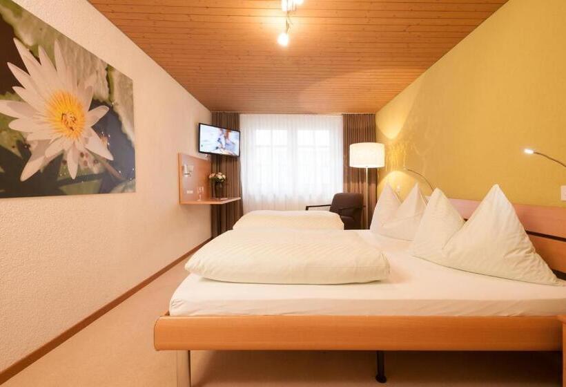 غرفة قياسية, Landgasthof Hirschen