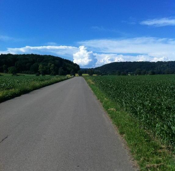 غرفة قياسية, Landgasthof Hirschen