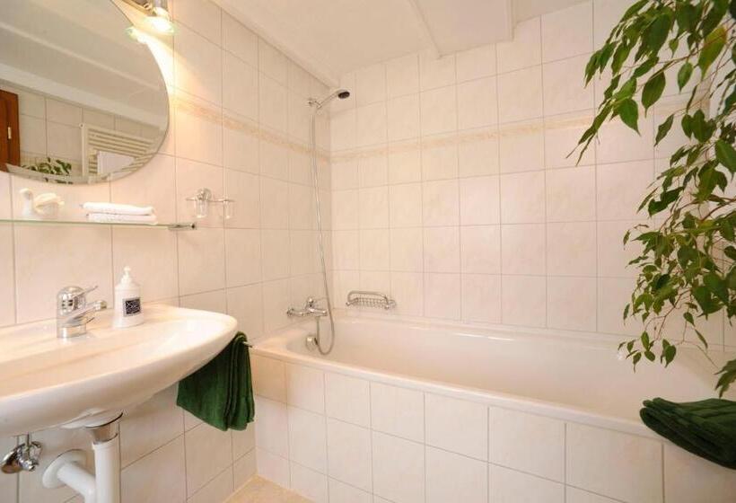 غرفة ديلوكس, Landgasthof Hirschen