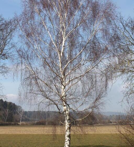 غرفة قياسية, Landgasthof Hirschen