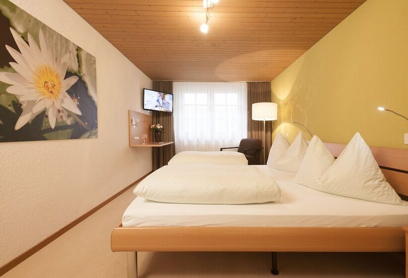 Номер Стандарт, Landgasthof Hirschen