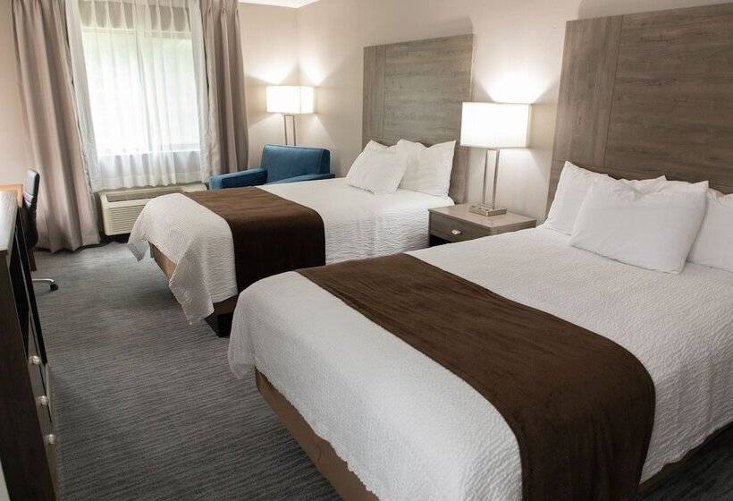 غرفه قياسيه سريرين مزدوجين, Lomira Inn And Suites