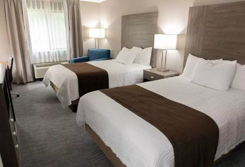 ２ダブルベッドのスタンダードルーム, Lomira Inn And Suites