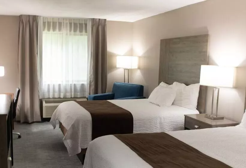 ２ダブルベッドのスタンダードルーム, Lomira Inn And Suites