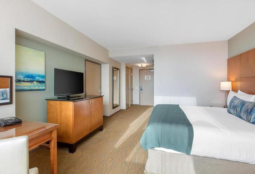 デラックスルーム, Omni San Diego