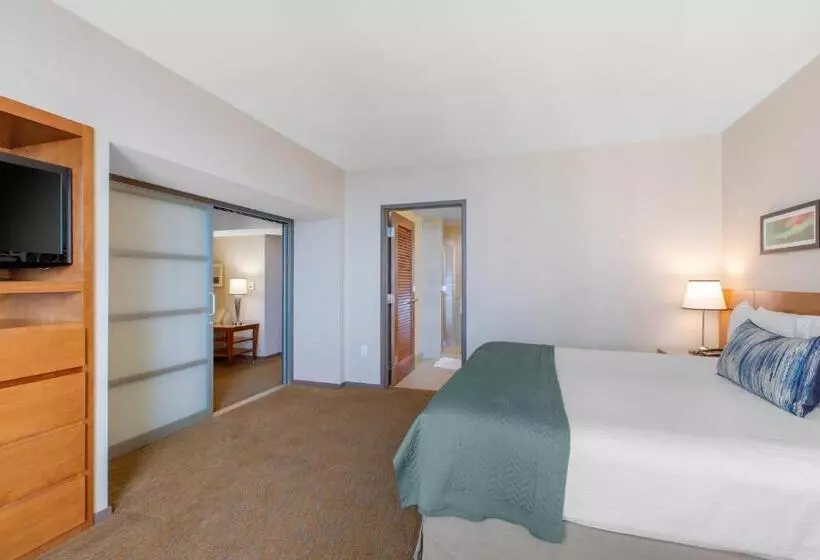 سوئیت اجرایی با تخت کینگ, Omni San Diego