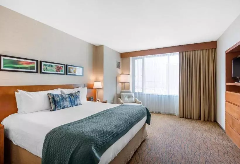 سوئیت اجرایی با تخت کینگ, Omni San Diego
