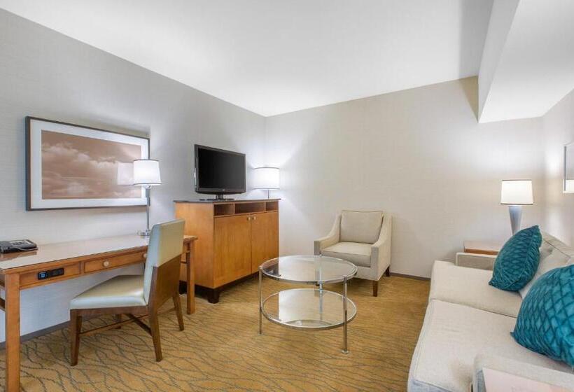 キングサイズベッドのエクゼクティブ, Omni San Diego