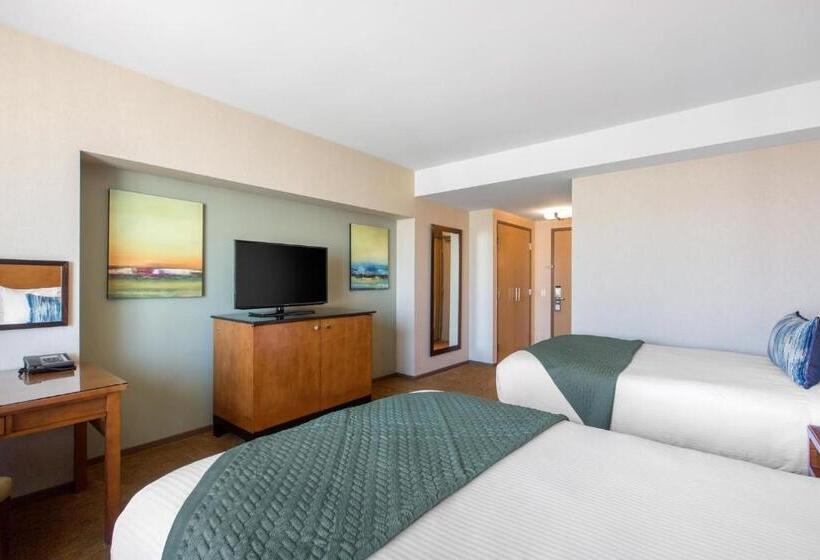 デラックスルーム, Omni San Diego