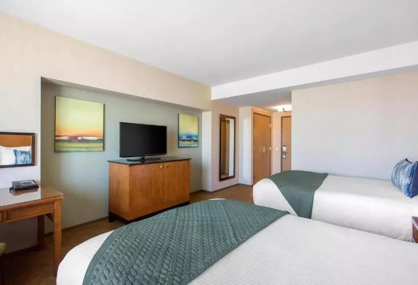 اتاق لوکس, Omni San Diego