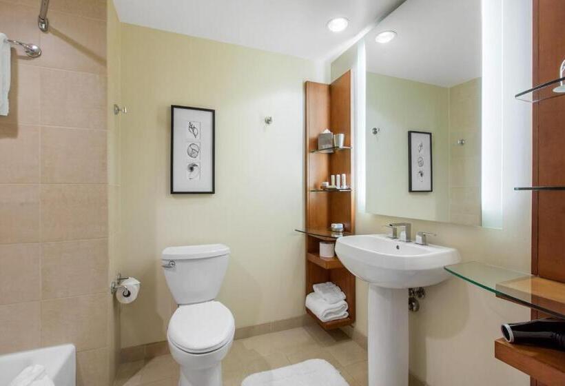 デラックスルーム, Omni San Diego