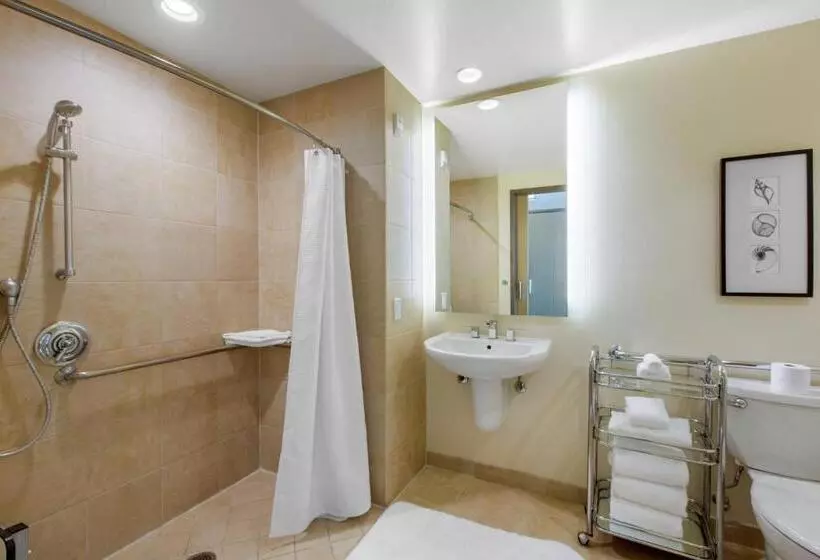 اتاق دلوکس مخصوص معلولین, Omni San Diego