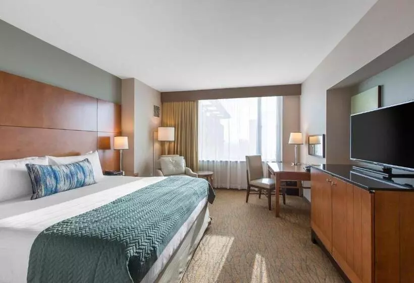 اتاق دلوکس مخصوص معلولین, Omni San Diego