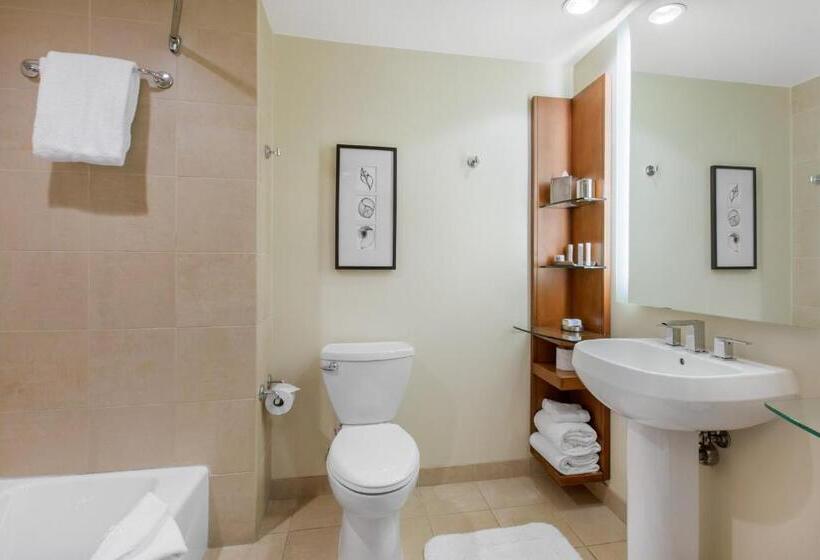 プレミアムルーム, Omni San Diego