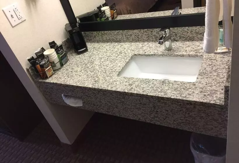 ２ダブルベッドのスタンダードルーム, Quality Inn East Liverpool Calcutta