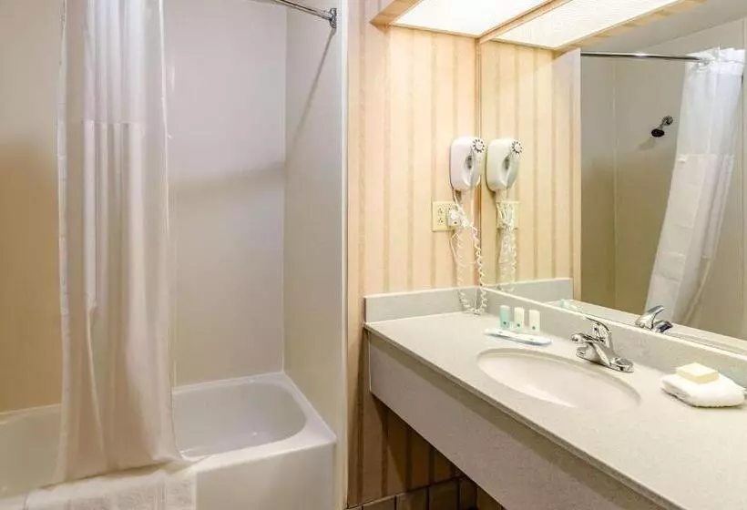 Standard-huone King-vuode, Quality Inn & Suites