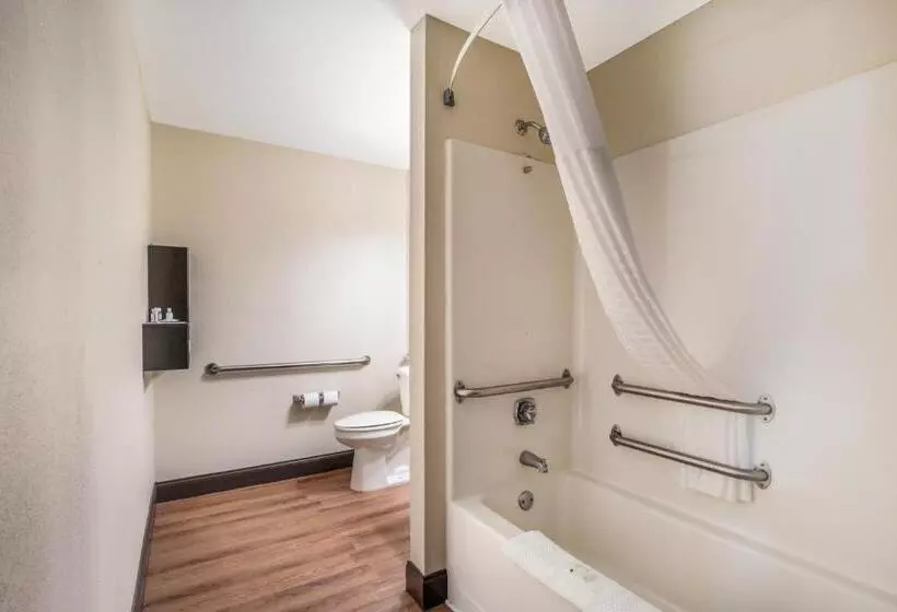 身障者適用キングサイズベッドルーム, Quality Inn & Suites Augusta Fort Eisenhower Area